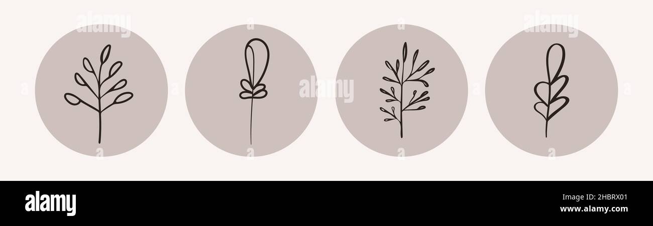 Organic nature.Branch with leaves on a round gray background. Stock Vector