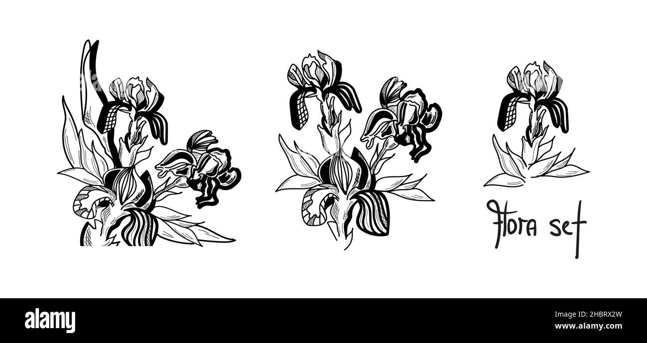 A set of isolated iris flowers are drawn graphically with the inscription Flora set. Stock Vector