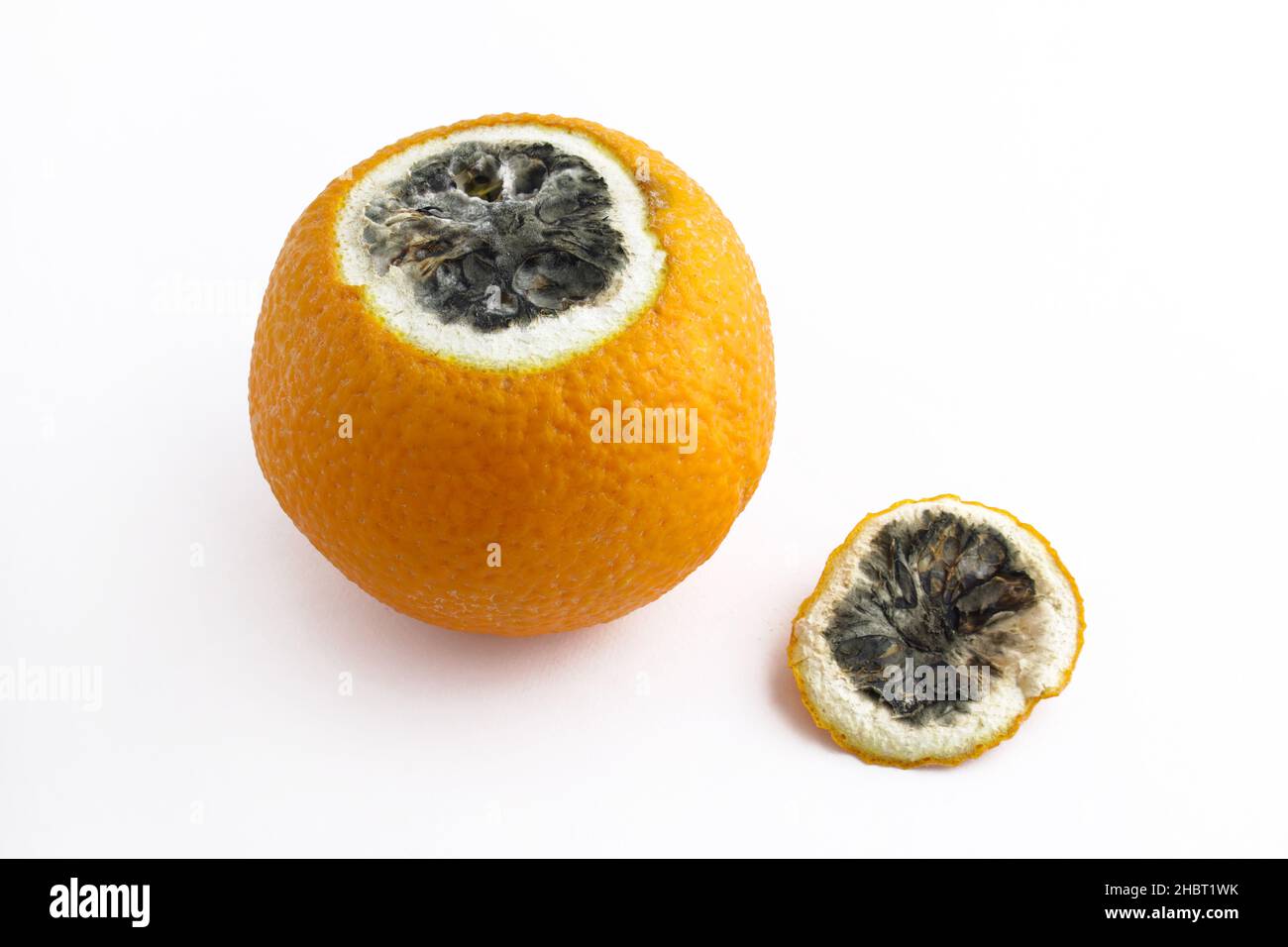 Orange rotten inside on a white background. A spoiled orange peeled. A rotten orange that's whole on the outside. Stock Photo