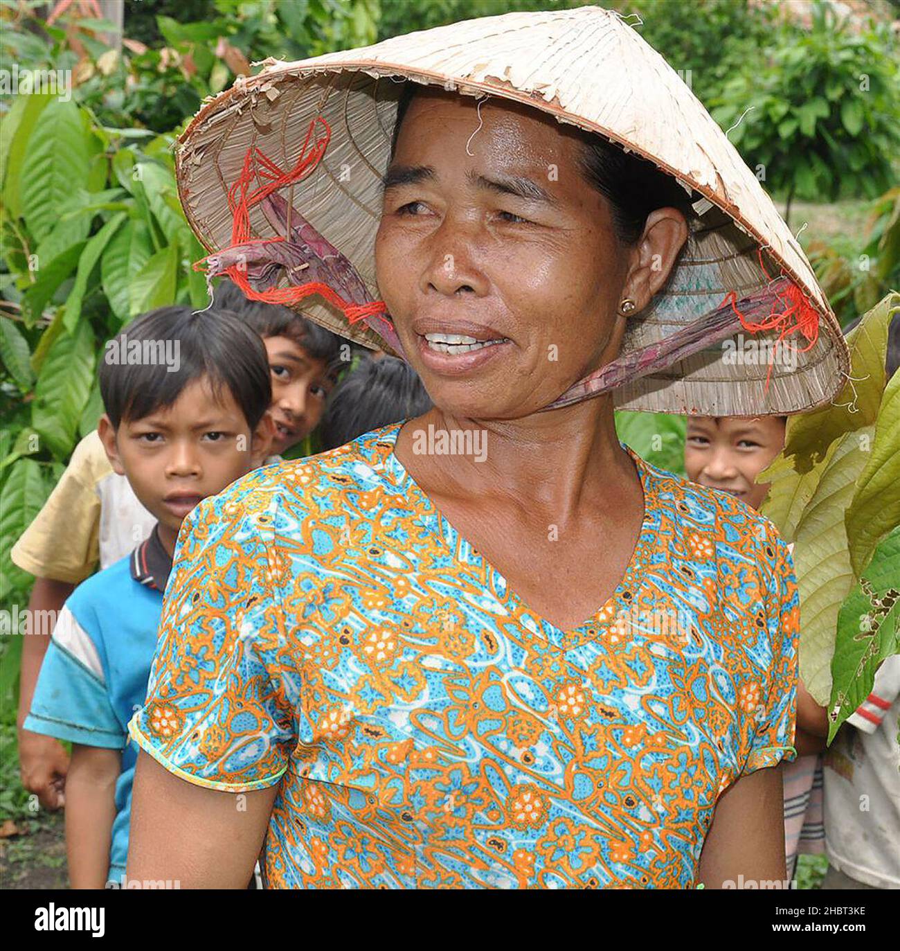 2000s Vietnam:  Local populations benefit from new cocoa crop techniques and market access. ca.  9 June 2009 Stock Photo