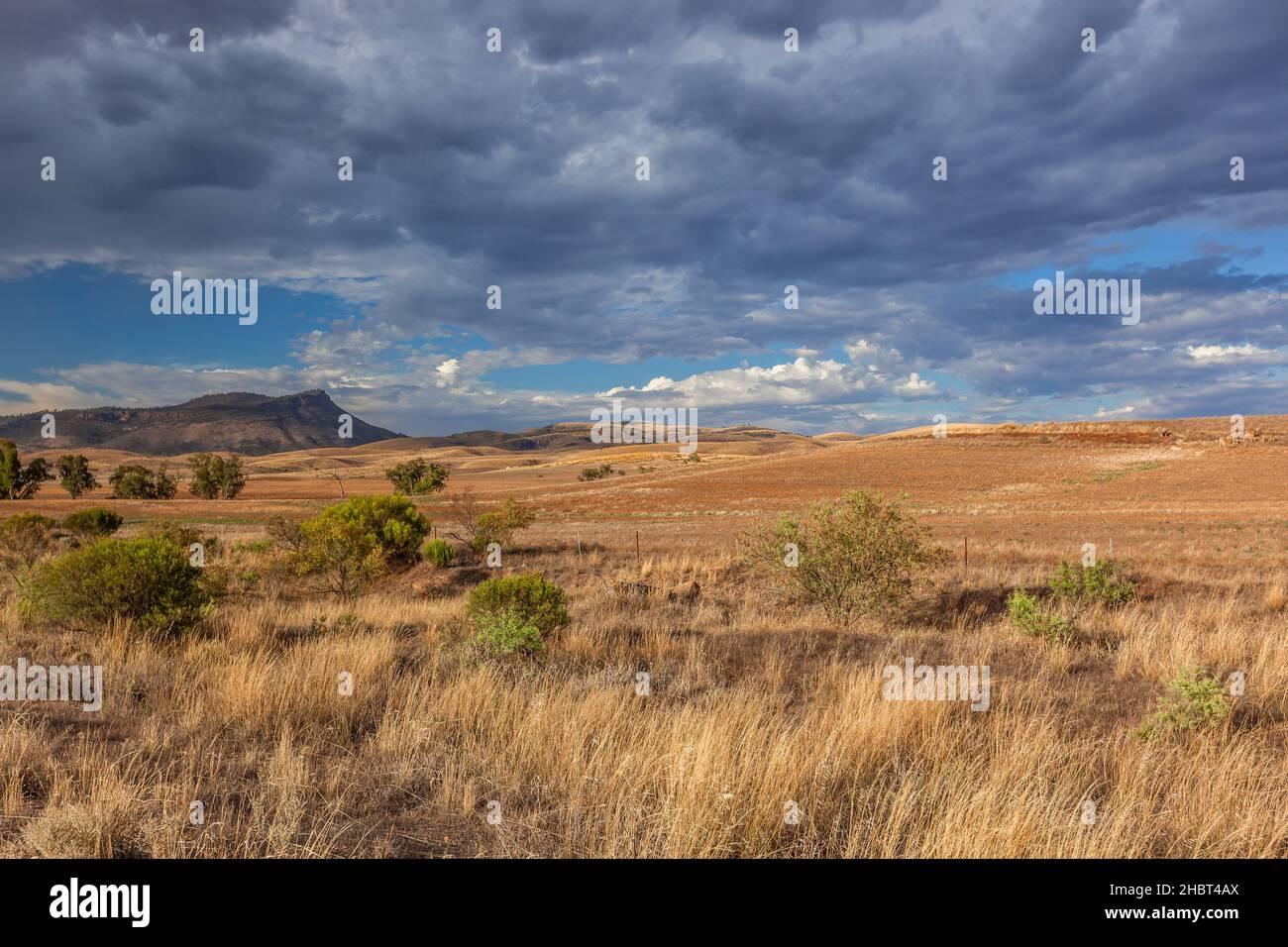 Landscape of The Dutchmans Stern Conservation Park near the town of