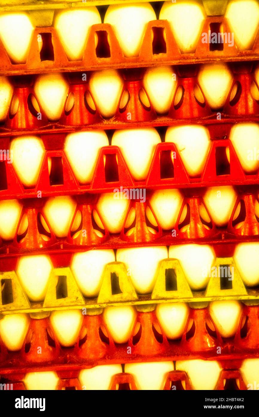 Resilient to breakage hi-res stock photography and images - Alamy