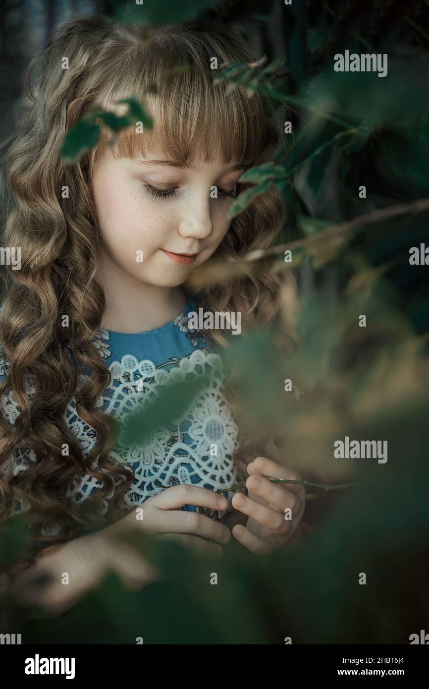 girl of 9-12 years old - with the appearance of a princess with long hair, in a thicket of hydrangeas. a beautiful girl looks at flowers. Stock Photo