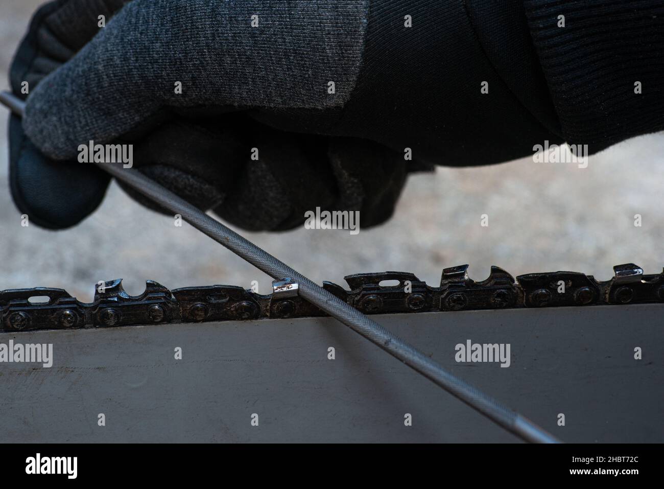 hand sharpening a chain saw blade with a round file . do it your self Stock Photo Alamy