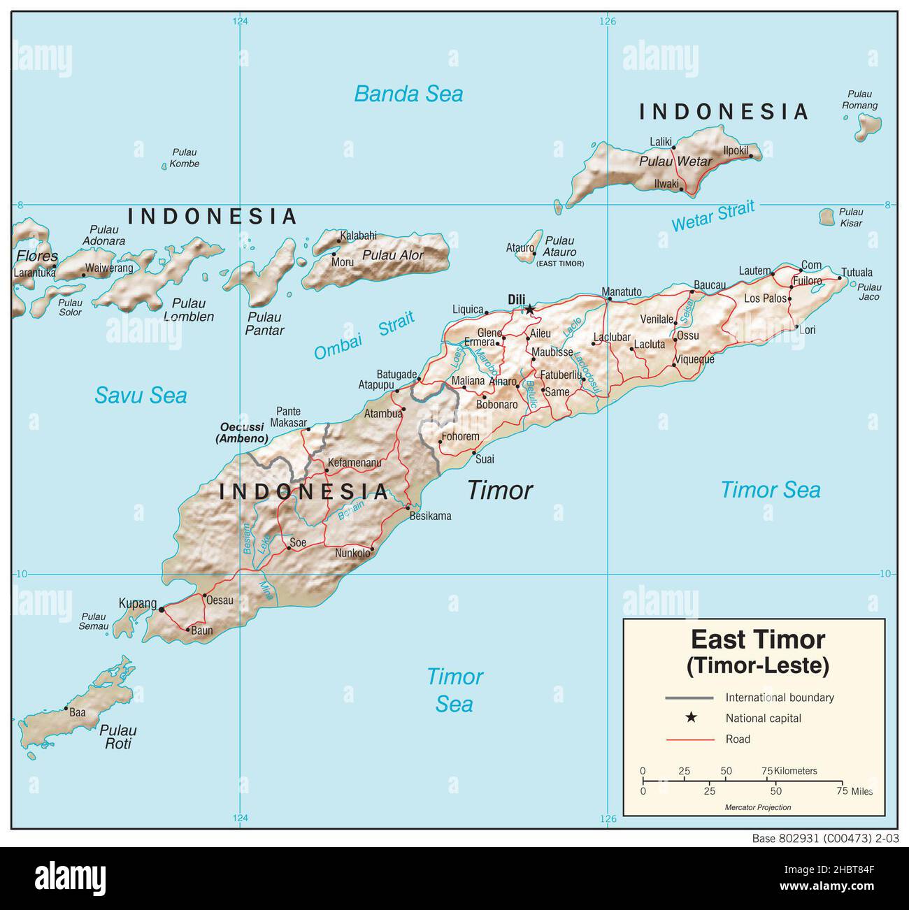 Topographic map of East Timor (shaded relief), 2003 Stock Photo