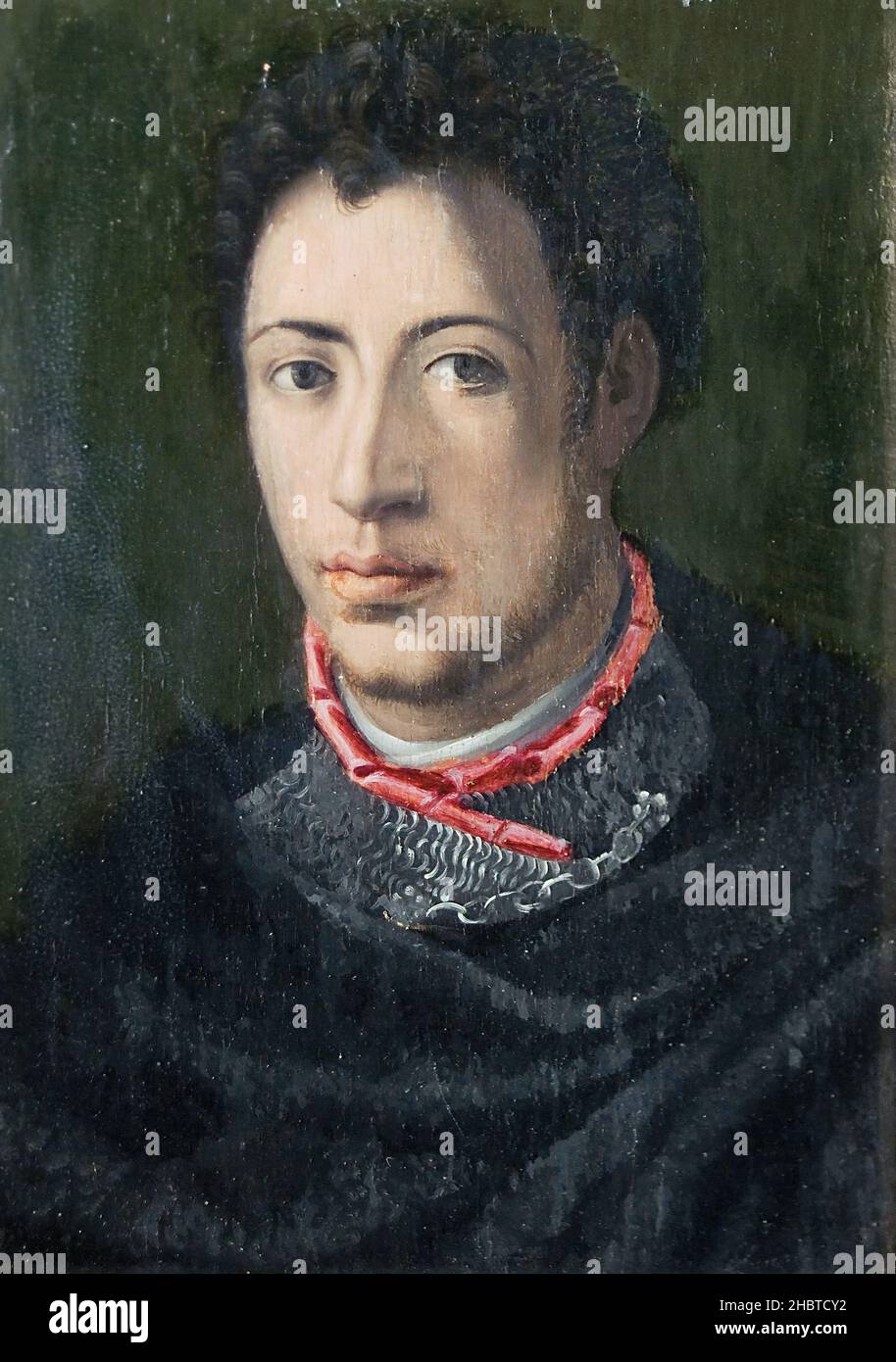 Alessandro de' Medici - 1535c. - oil on wood 23,2 x 16,5 cm - Carucci Jacopo - Pontormo - Stock Photo