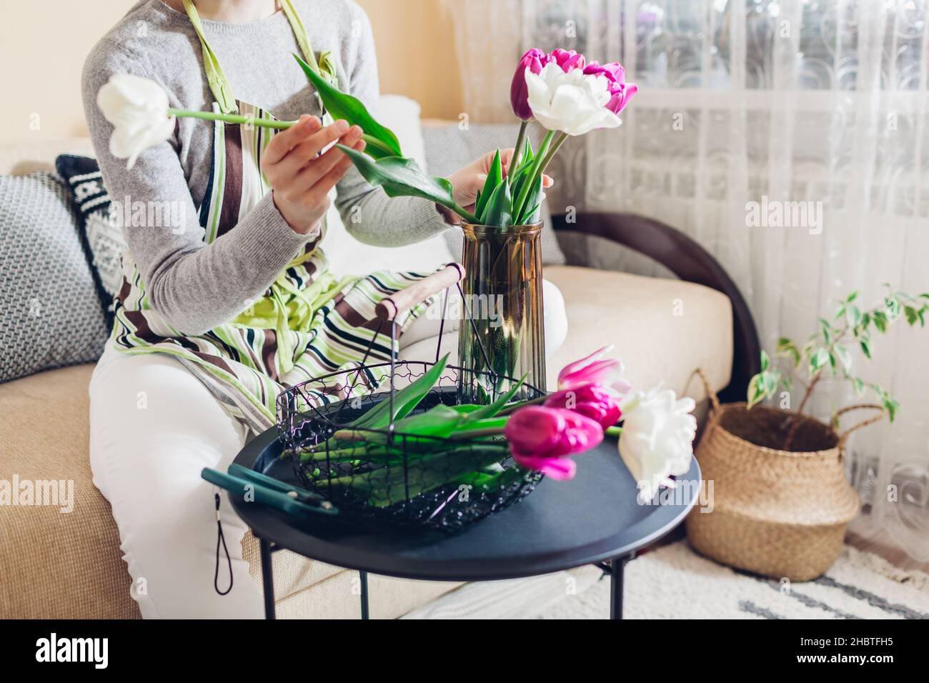 Woman puts bouquet of tulips flowers in vase with water at home. Fresh