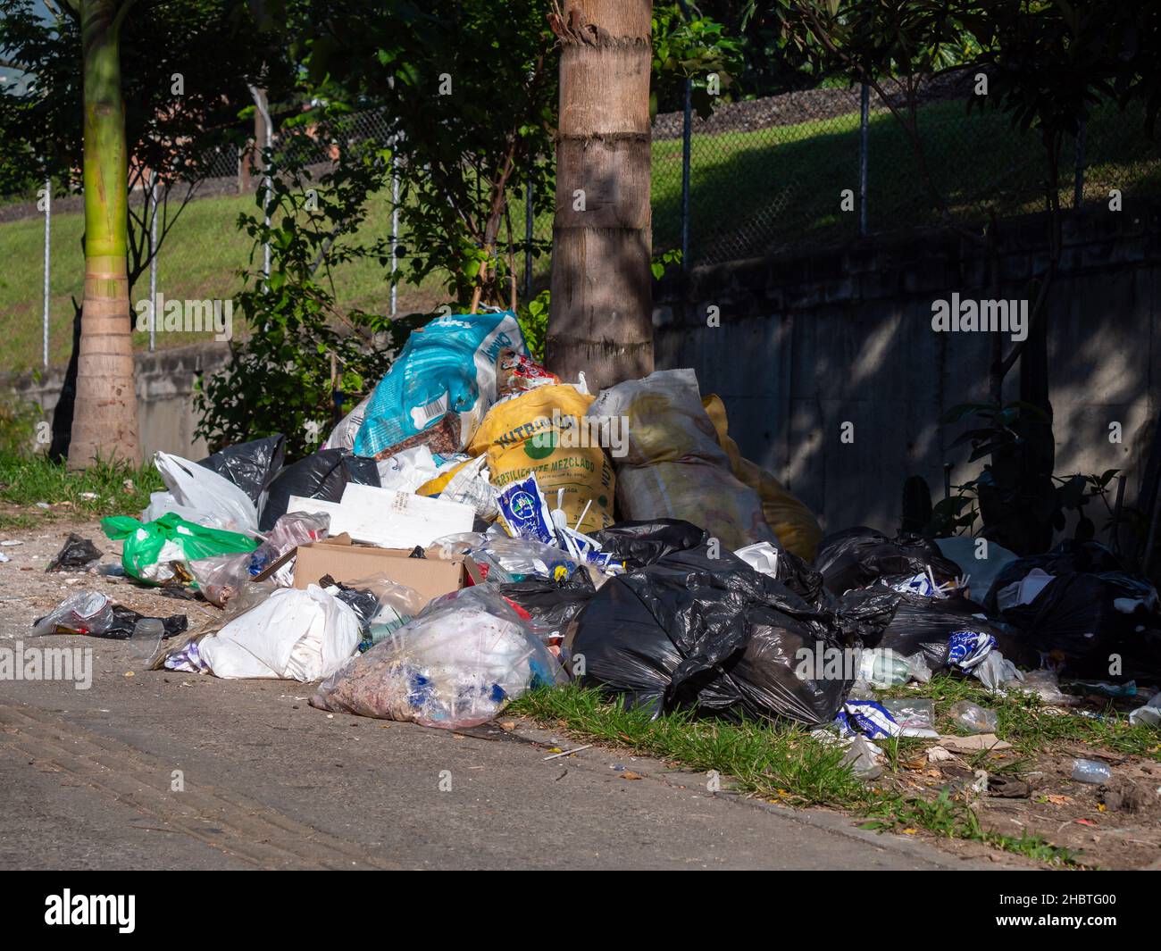 Medellin, Antioquia, Colombia - August 2 2021: Pile of Garbage Bags Accumulated on the Palm Tree to be Picked up by the Collection Truck Stock Photo