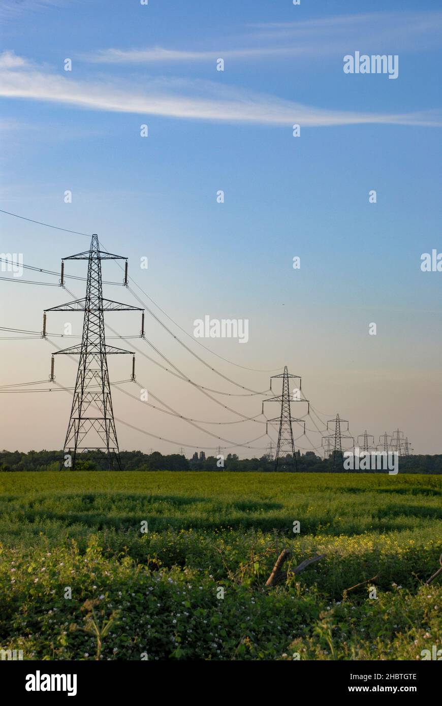 UK, England, Hertfordshire. Electrical pylons march over the fields at sunset. Stock Photo