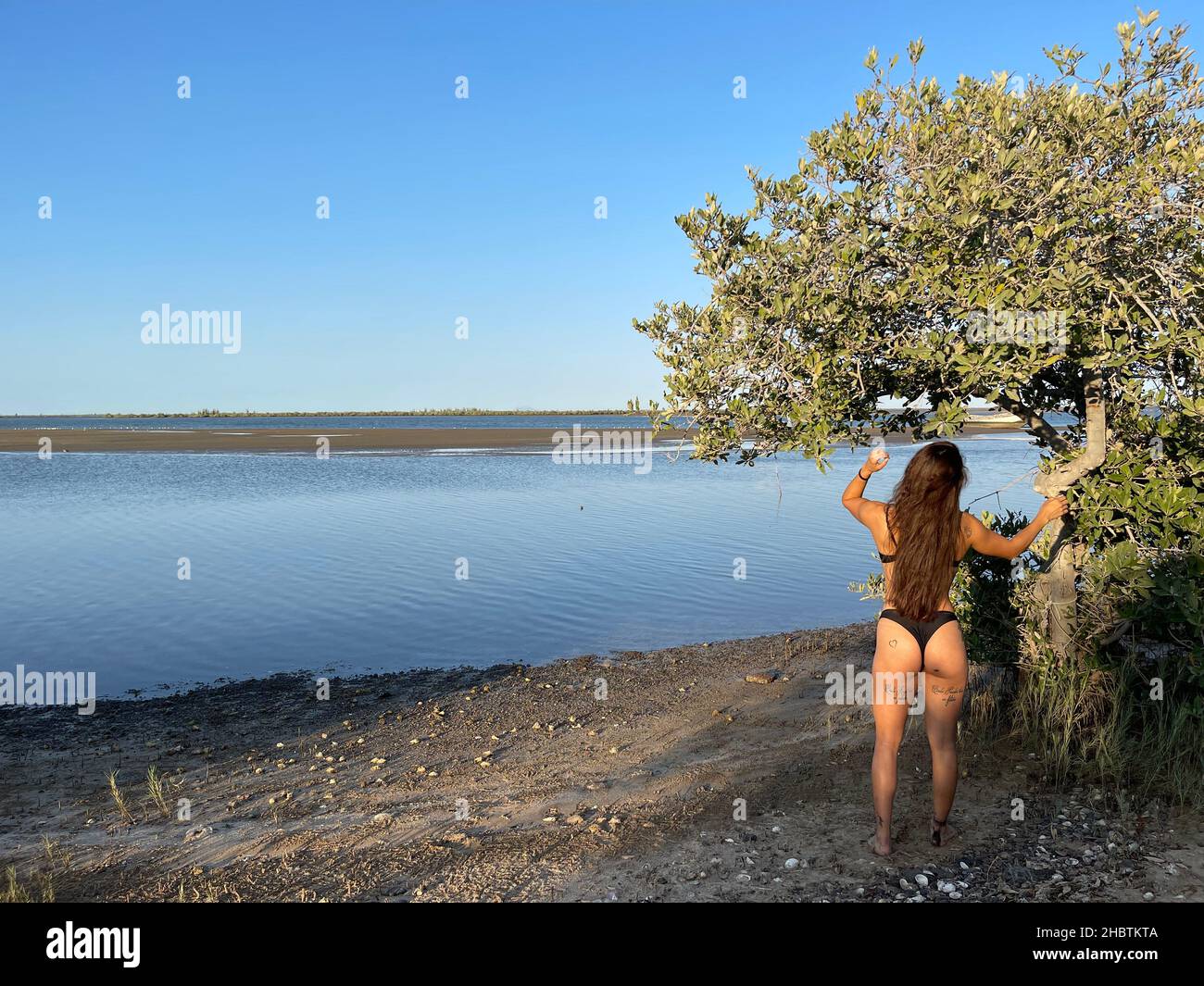 Young and beautiful woman with statuesque fitnes body in swimsuit, bikini on estuary beach between sand and mangrove swamp  mujer joven y hermosa de c Stock Photo