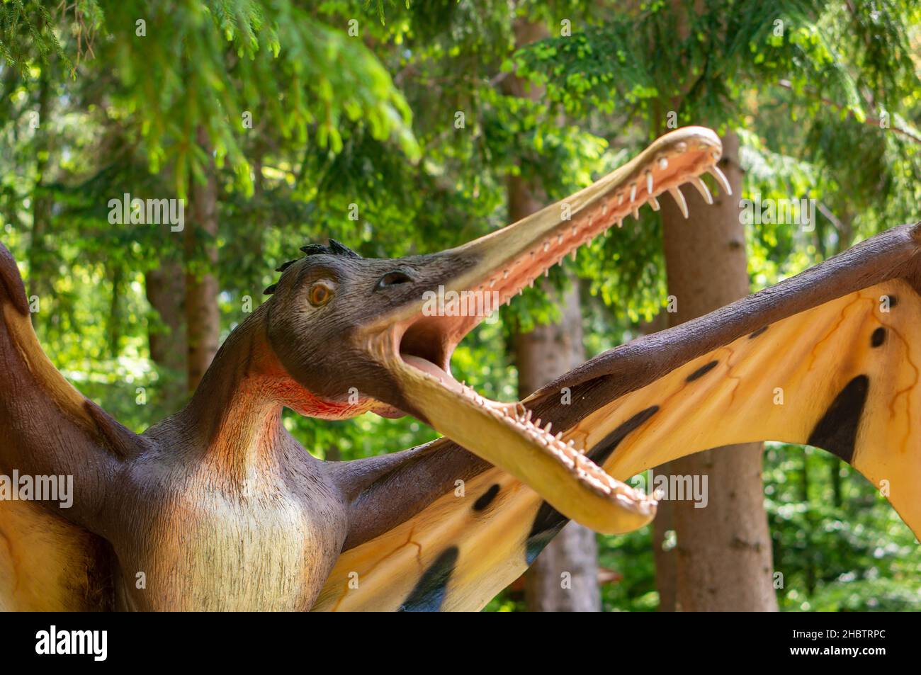 Pterodactylus Life Size Replica Flying Male Open Mouth Dinosaur