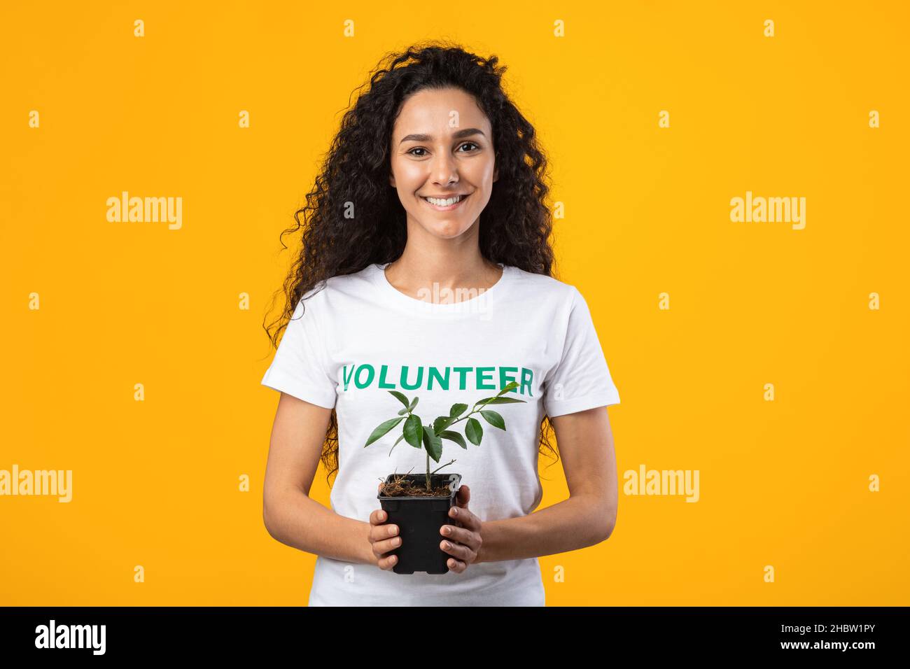 Female Volunteer Holding Pot With Green Plant On Yellow Background