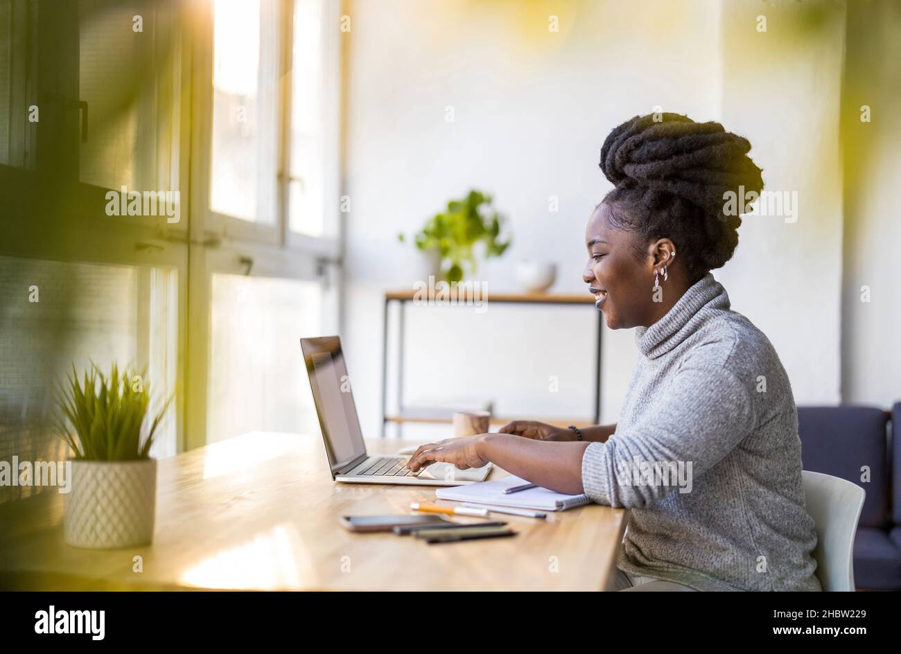 Woman working on laptop in her office Stock Photo