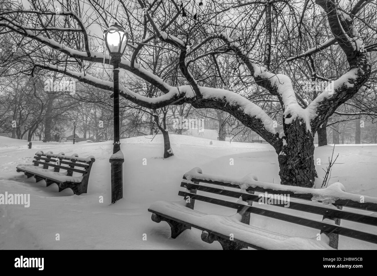 Central Park in winter after heavy snow storm, New York City Stock ...