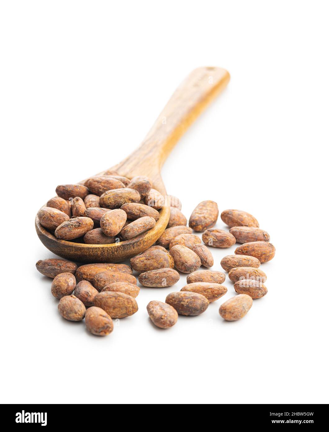 Dried cocoa beans in wooden spoon isolated on white background. Stock Photo
