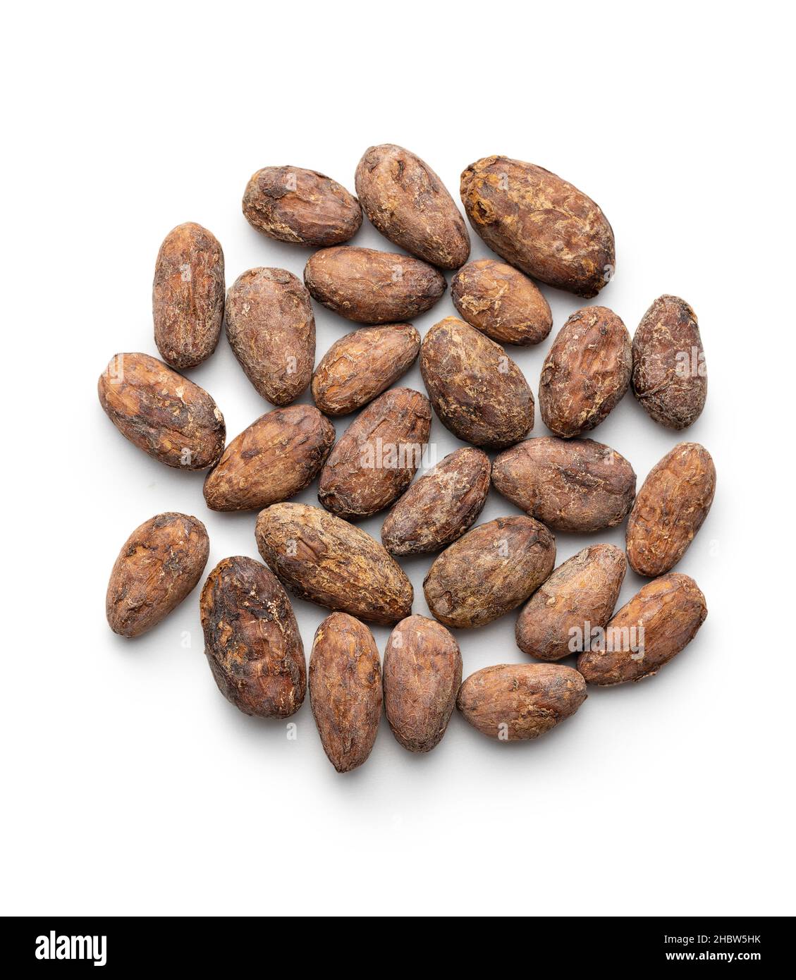 Dried cocoa beans isolated on white background. Stock Photo