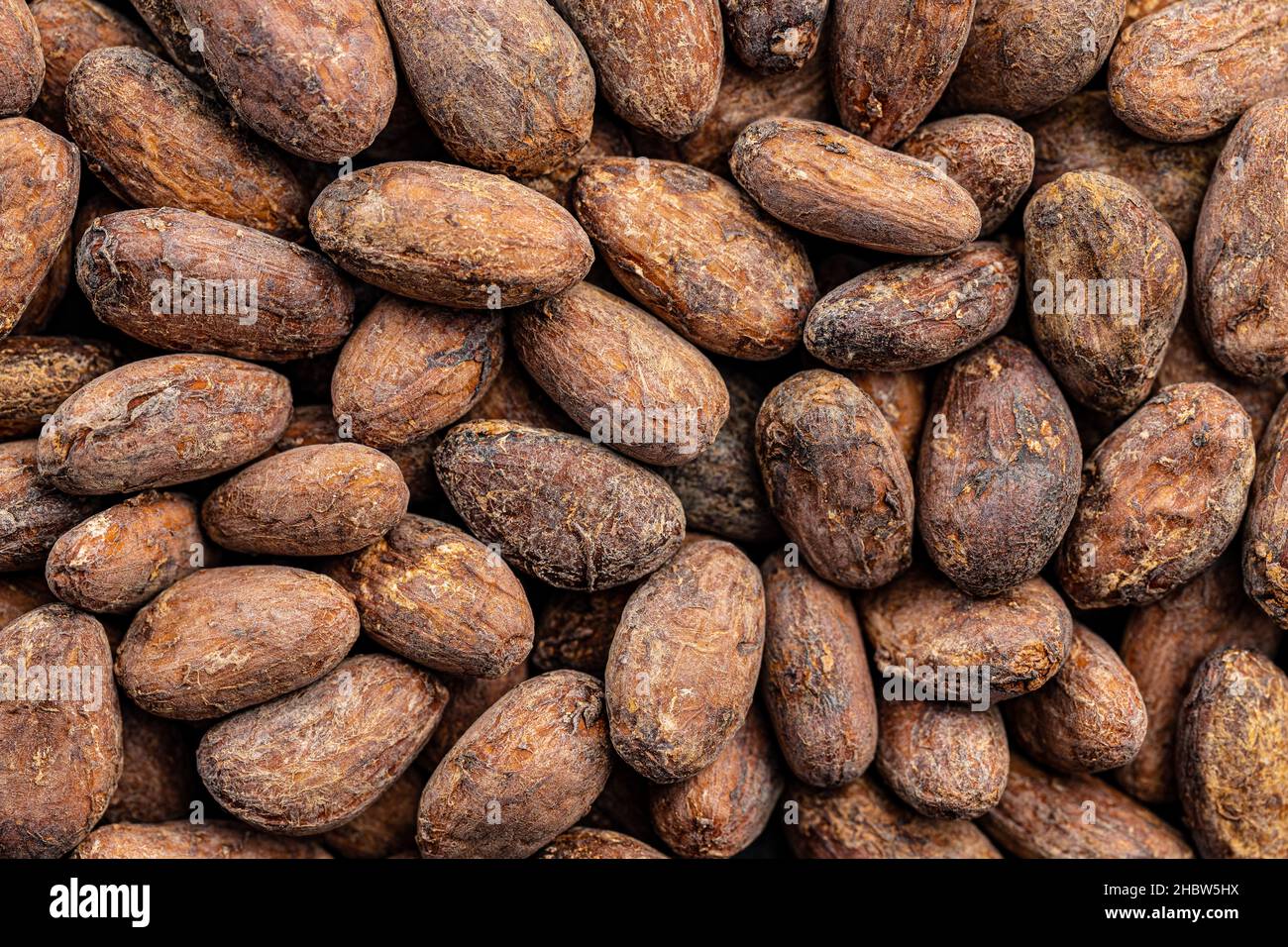 Dried cocoa beans. Top view. Stock Photo