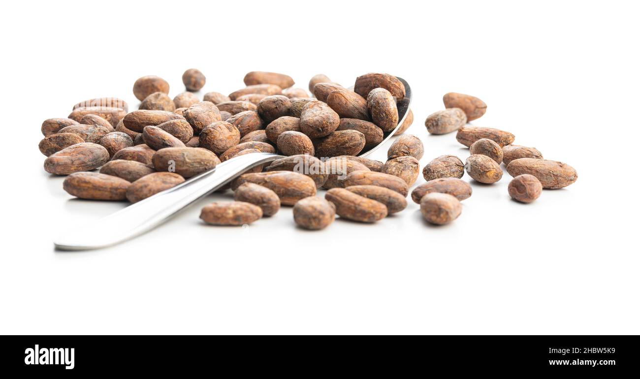Dried cocoa beans isolated on white background. Stock Photo