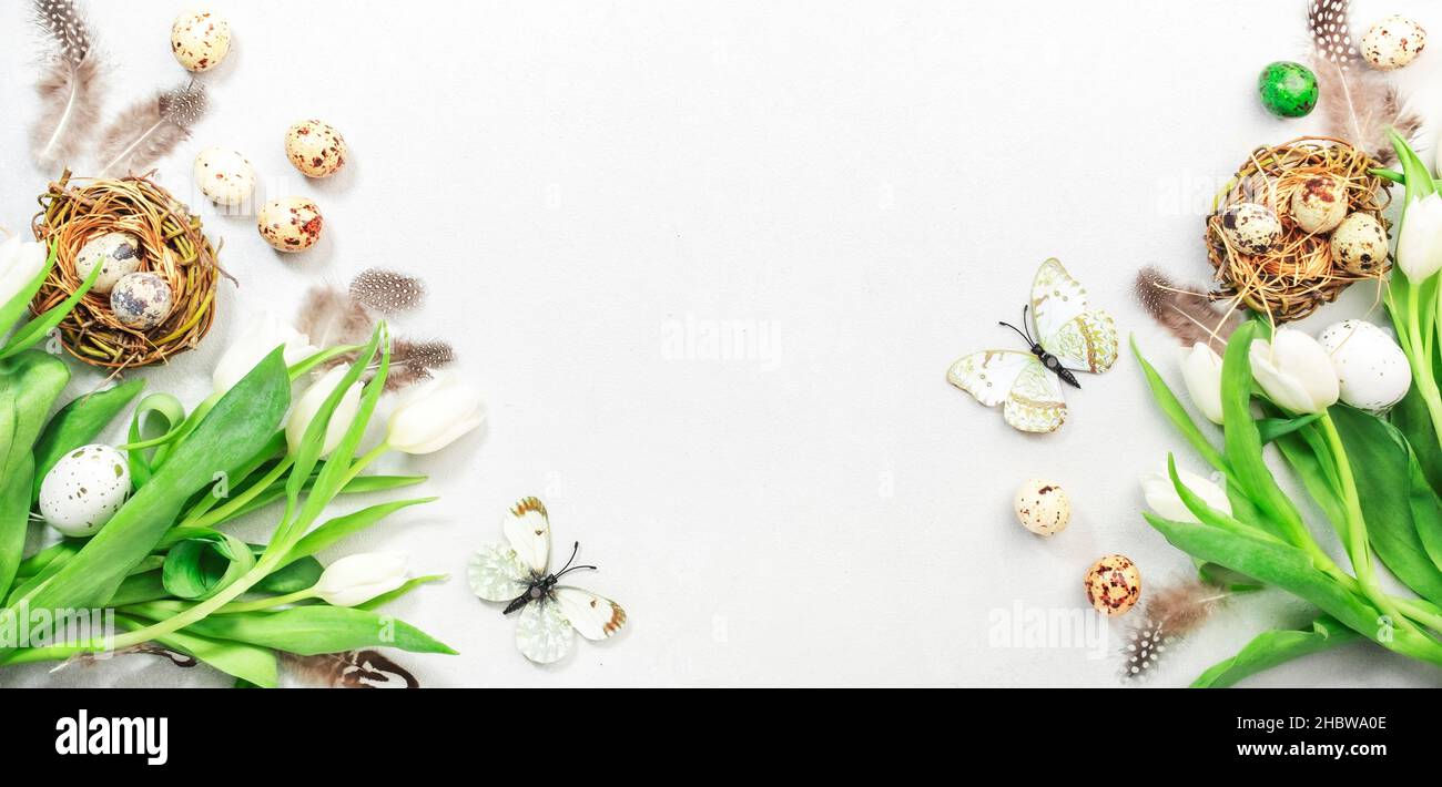 Spring Easter white background with tulips, quail eggs and feathers in ...