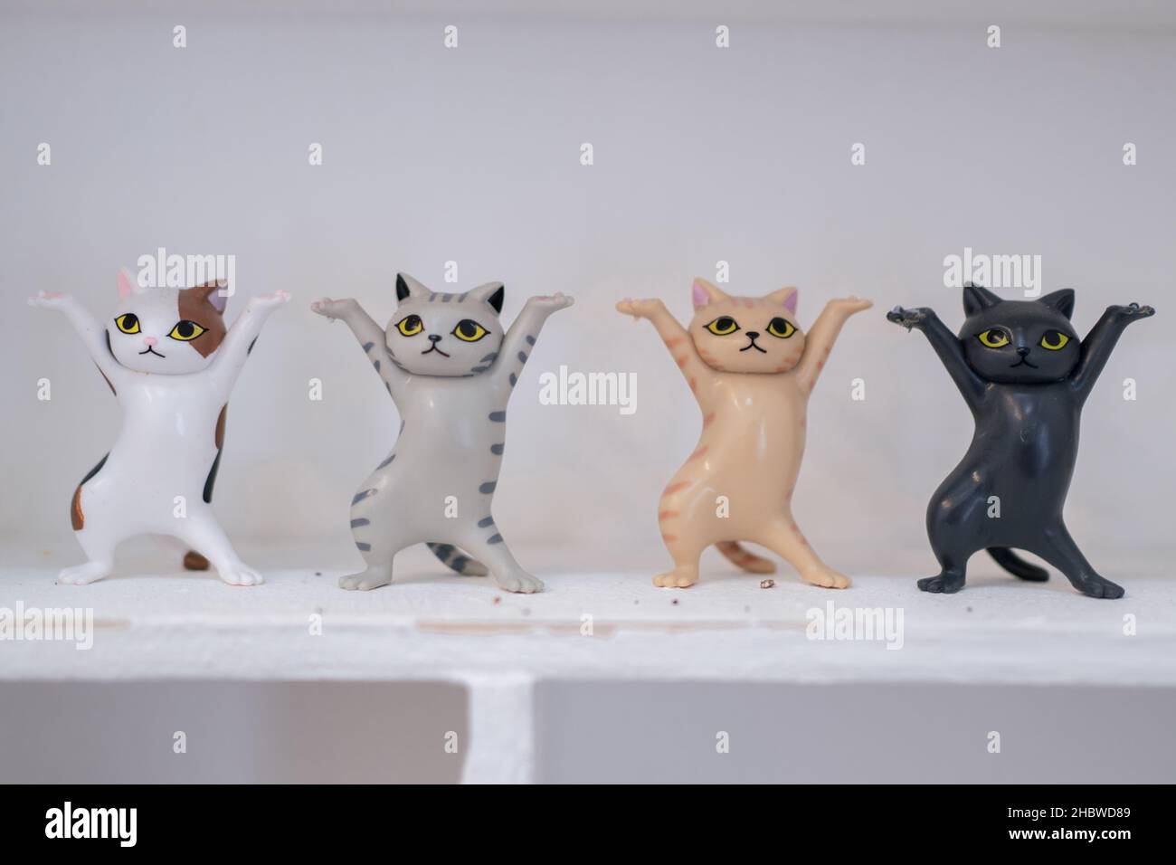 A row of cute funny cat figurines on a white self Stock Photo Alamy