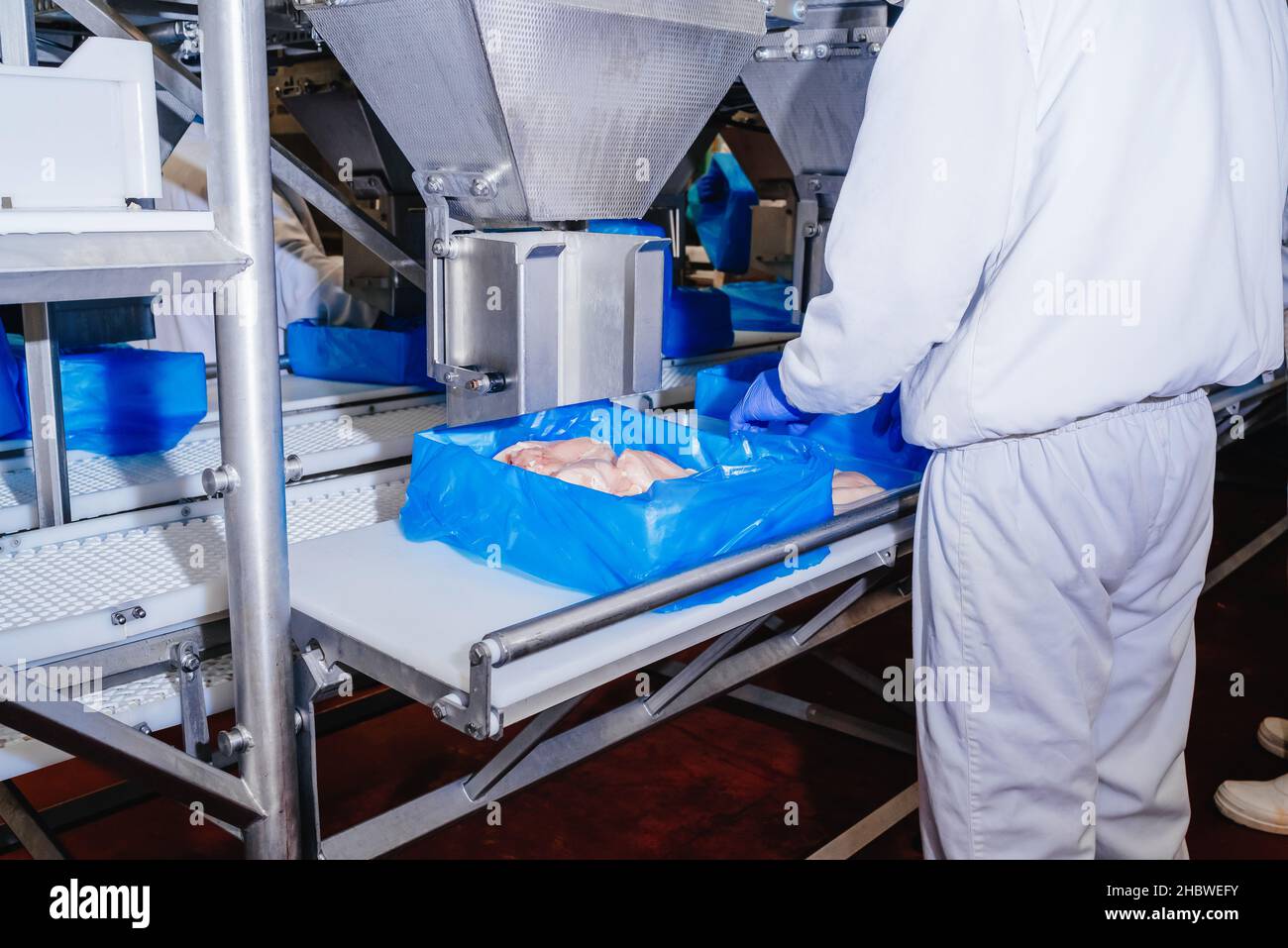 Chicken fillet production line . Factory for the production of food ...