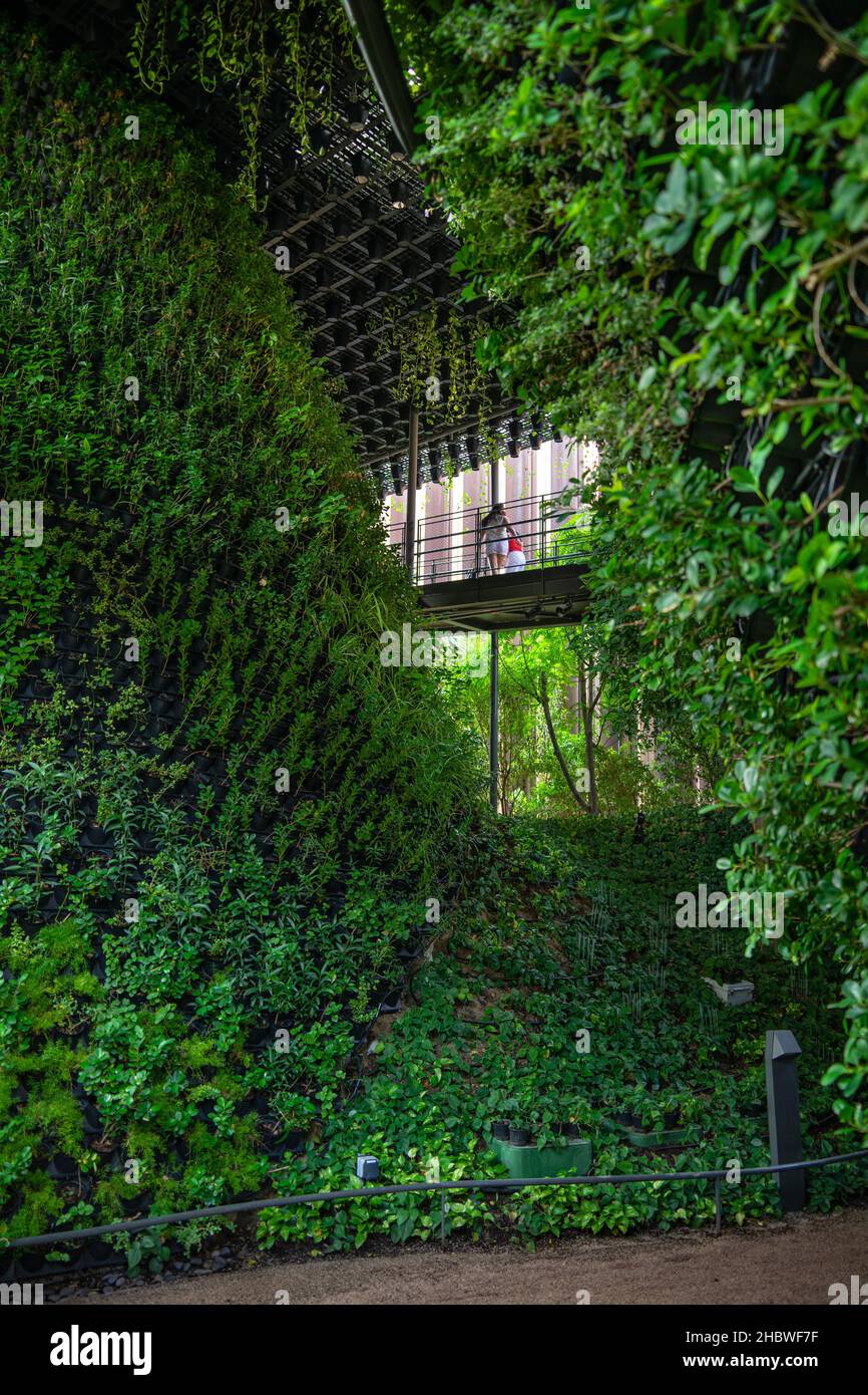Dubai, UAE 11.30.2021 Singapore pavilion interior, sustainable green