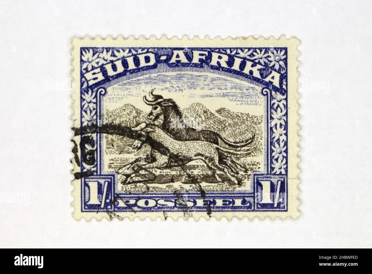 South africa - Suid Afrika postage stamp Stock Photo
