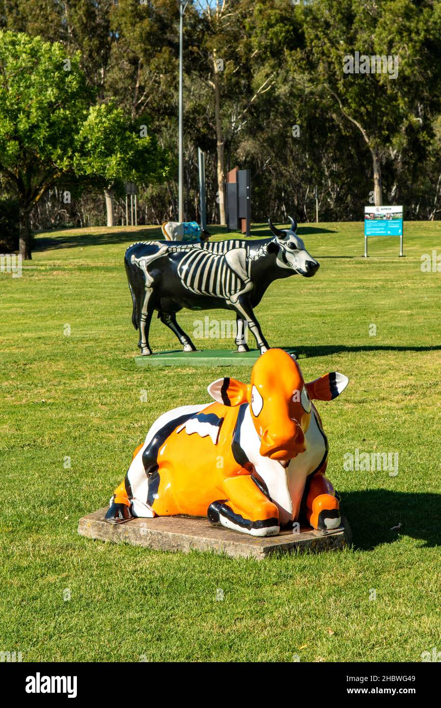 Cows in the Park Art, Shepparton, Victoria, Australia Stock Photo