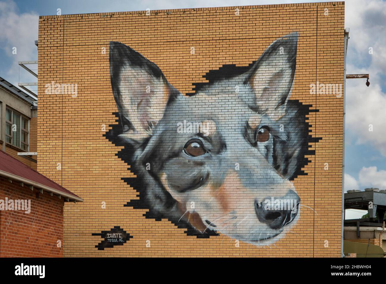 Working Dog Street Art, Benalla, Victoria, Australia Stock Photo