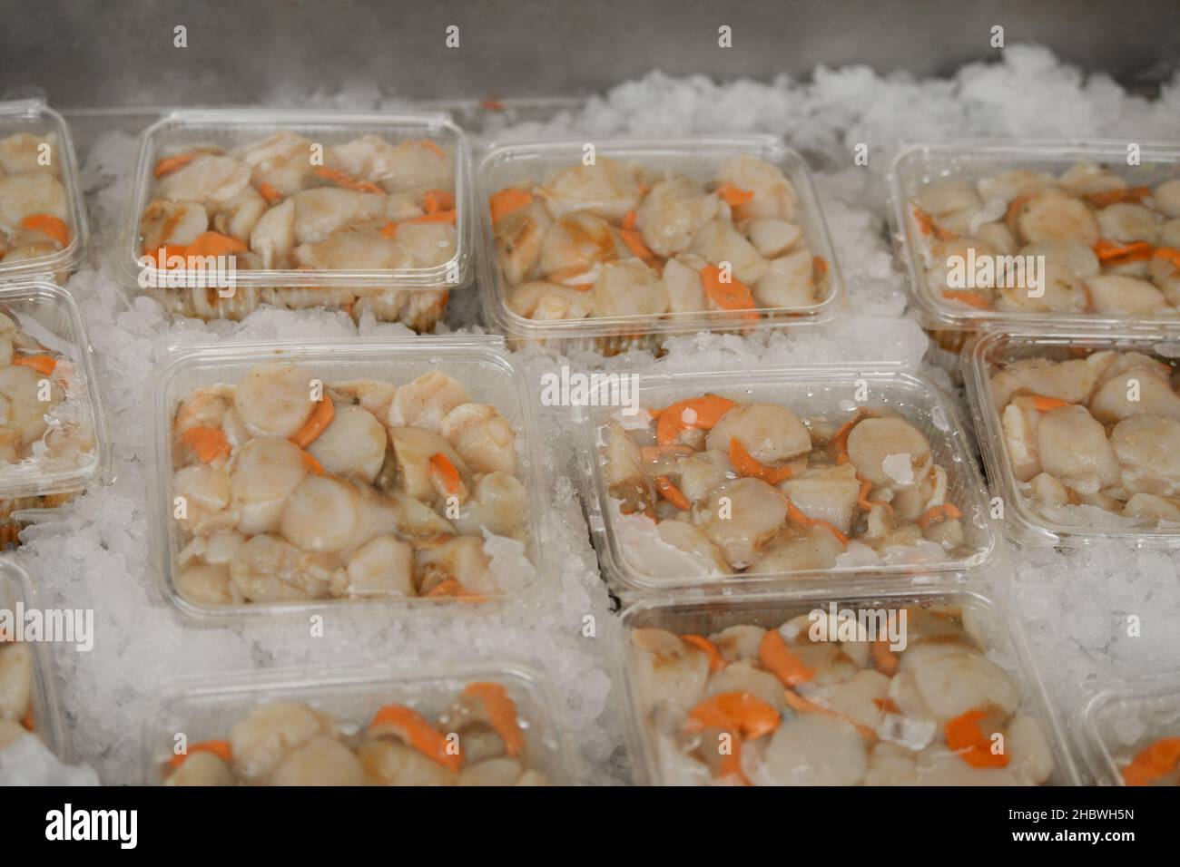 Fresh french scallops on a seafood market at Dieppe France Stock Photo Alamy