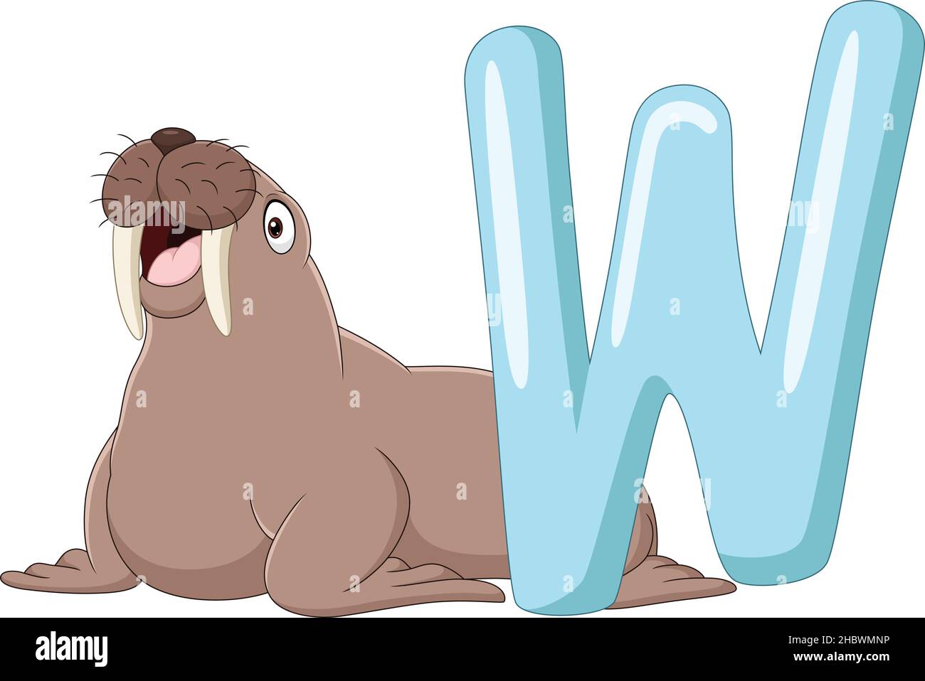Alphabet letter W for Walrus Stock Vector Image & Art - Alamy