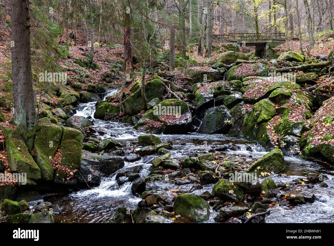 A beautiful shot of a streaming river and rocks in the middle of a ...