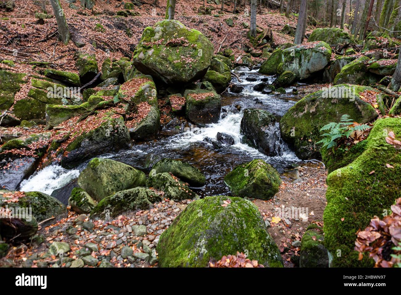 A beautiful shot of a streaming river and rocks in the middle of a ...