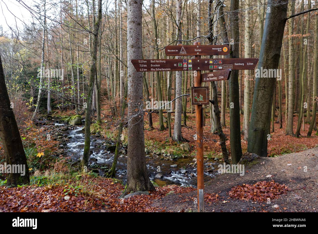 A wooden pointer on a pipe in the middle of a forest Stock Photo - Alamy