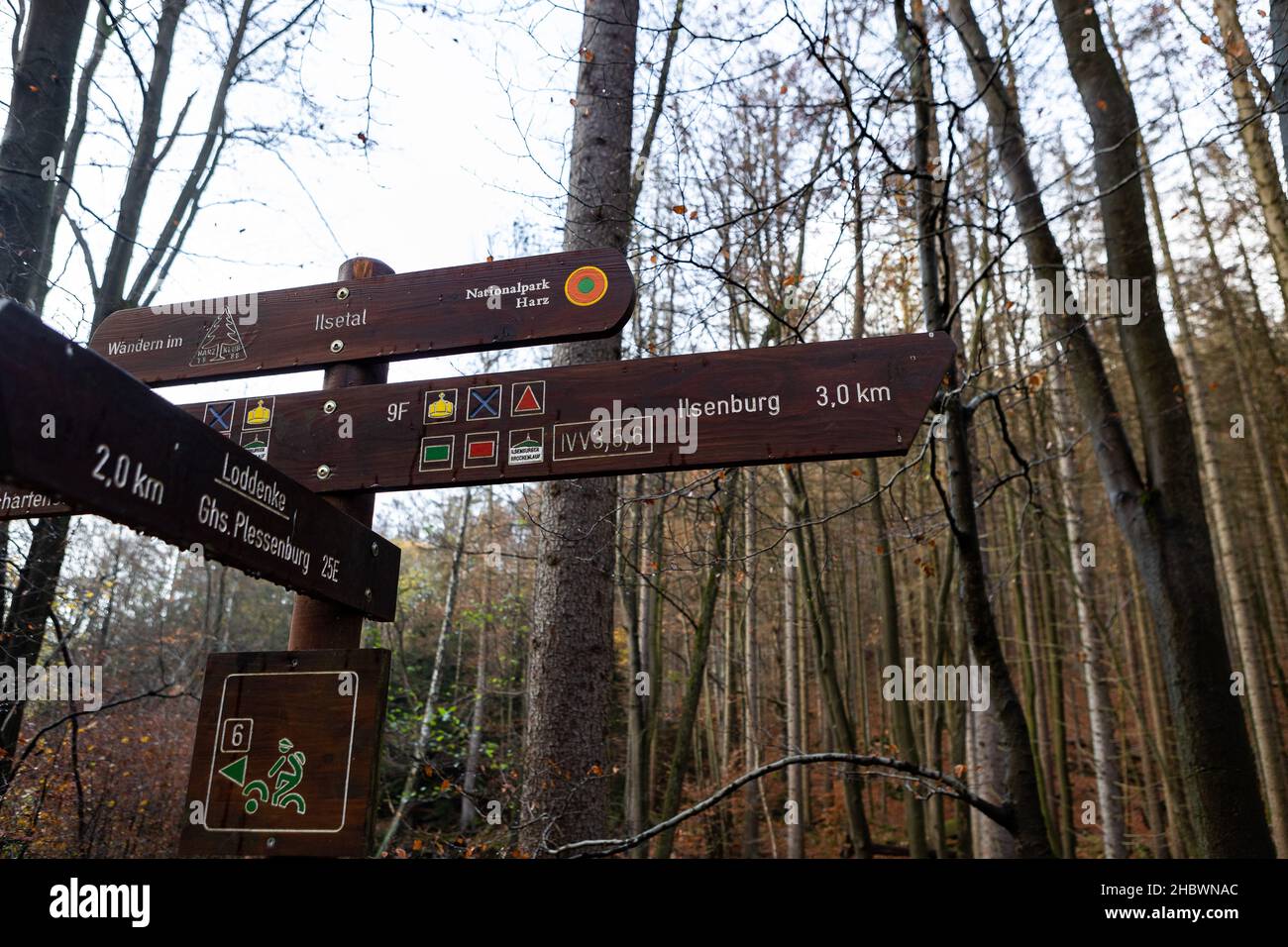 A wooden pointer on a pipe in the middle of a forest Stock Photo - Alamy
