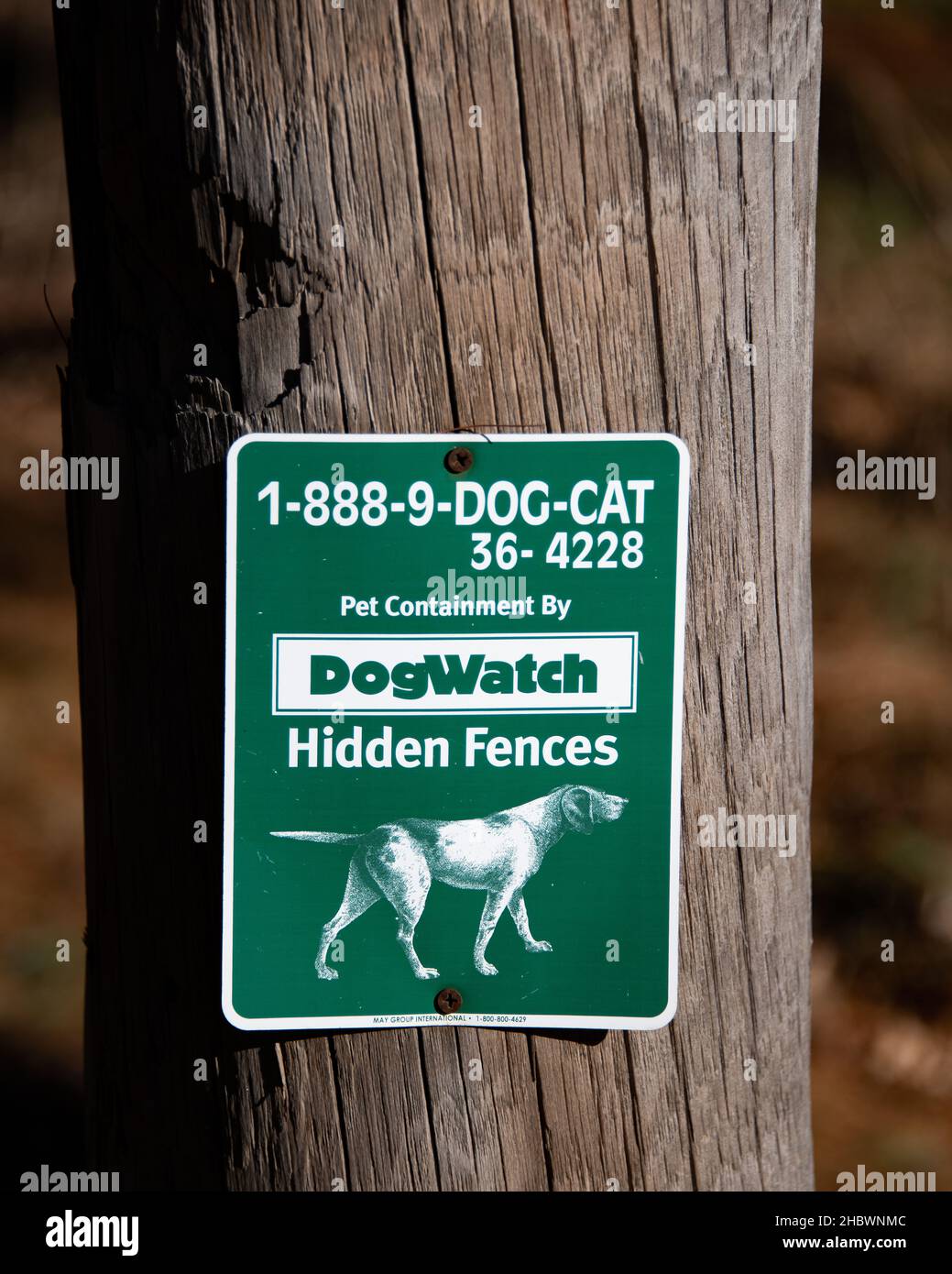 A DogWatch sign on a wooden pole describing a pet containment hidden fence to keep dogs and cats confined to an owner's property. Stock Photo