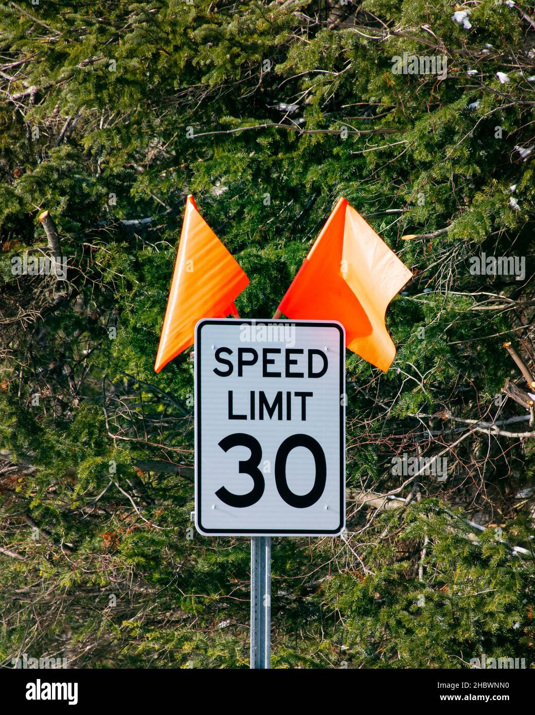 A sign indicating speed limit 30 miles per hour with orange flags to attract attention and evergreen trees in the background in Speculator, NY Stock Photo