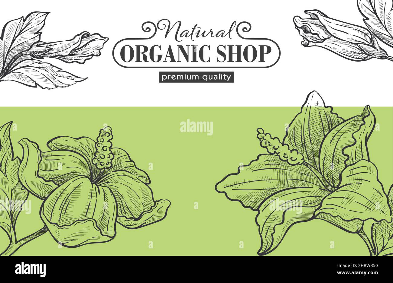 Organic and natural shop with assortment vector Stock Vector Image ...