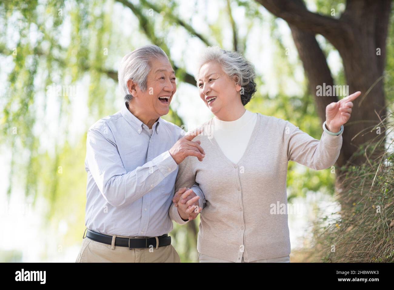 Happy old couple walking in the park Stock Photo - Alamy