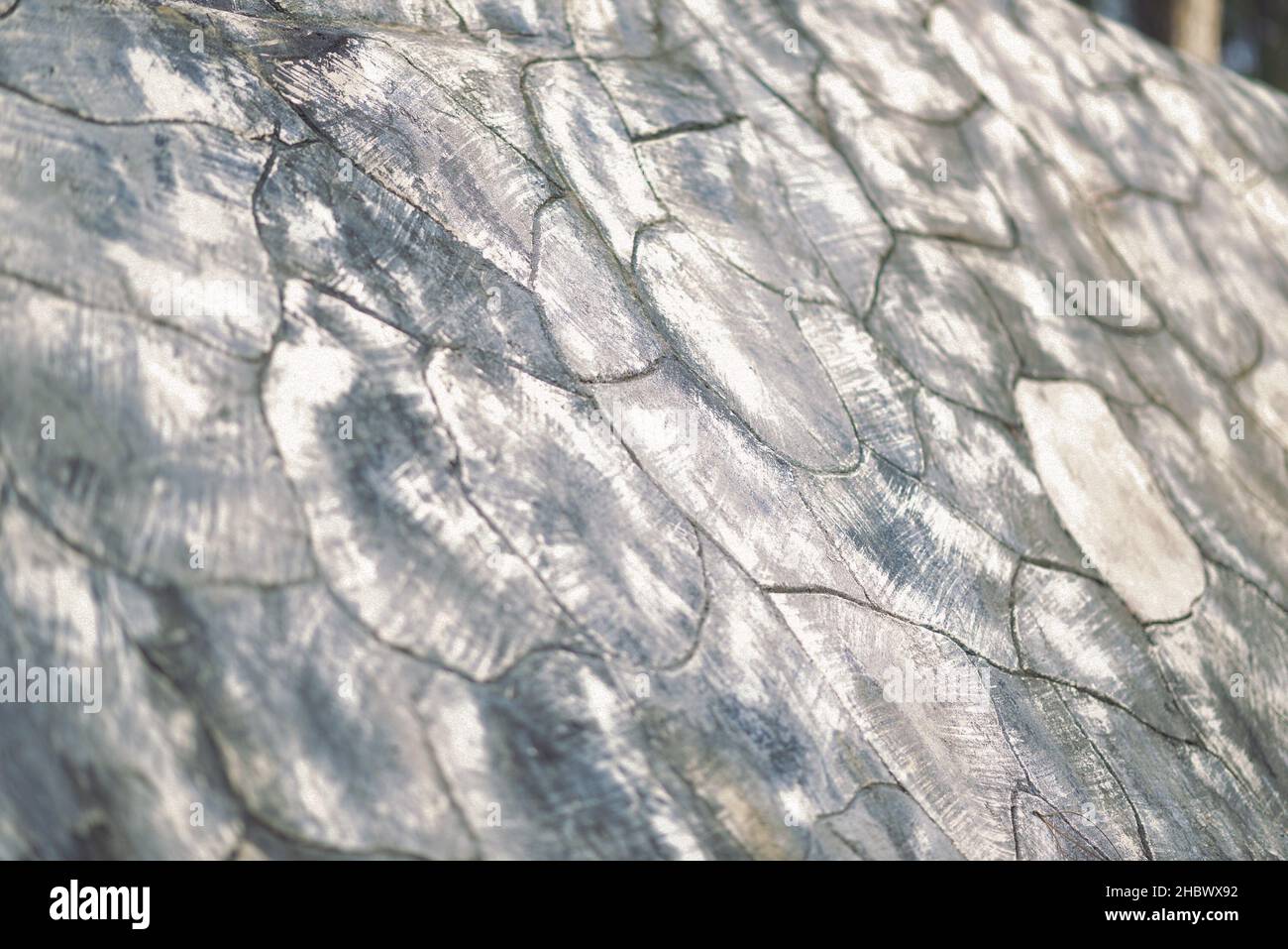 texture background with selective focus Stock Photo