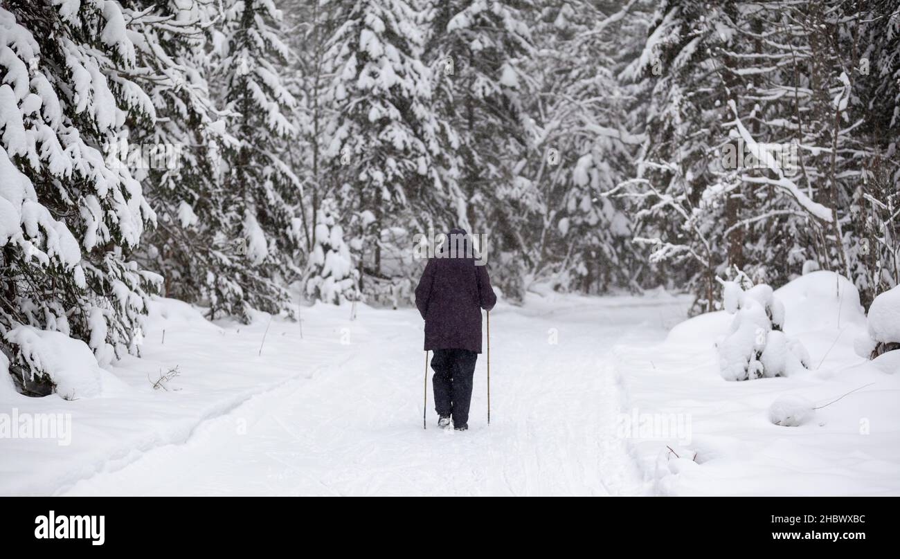 Walking through snowy forest hi-res stock photography and images - Alamy