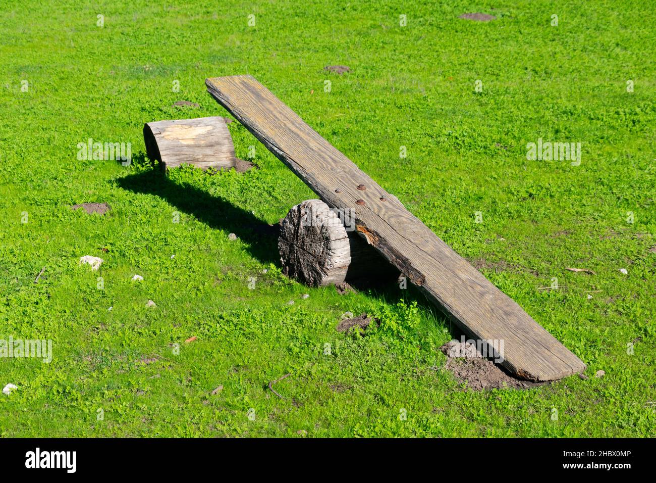 Teeter totter, seesaw made of wooden board and log on a green grass. Stock Photo