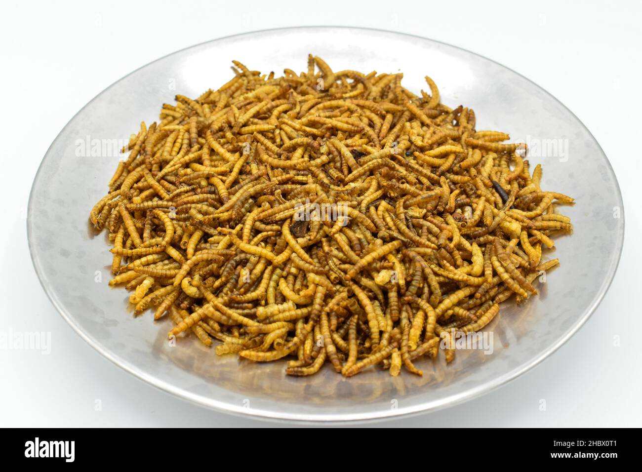 Protyn arowana fish food, dried black soilder fry larvae. Closeup view. Stock Photo
