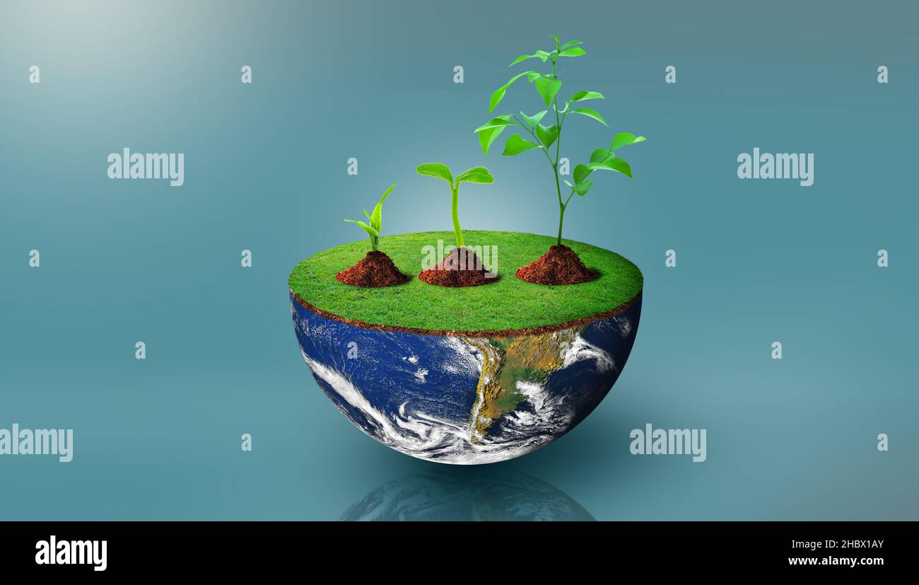 Plants of different sizes on half sphere of planet earth with green grass on. Environmental stewardship, World Environment Day, and Saving environment Stock Photo