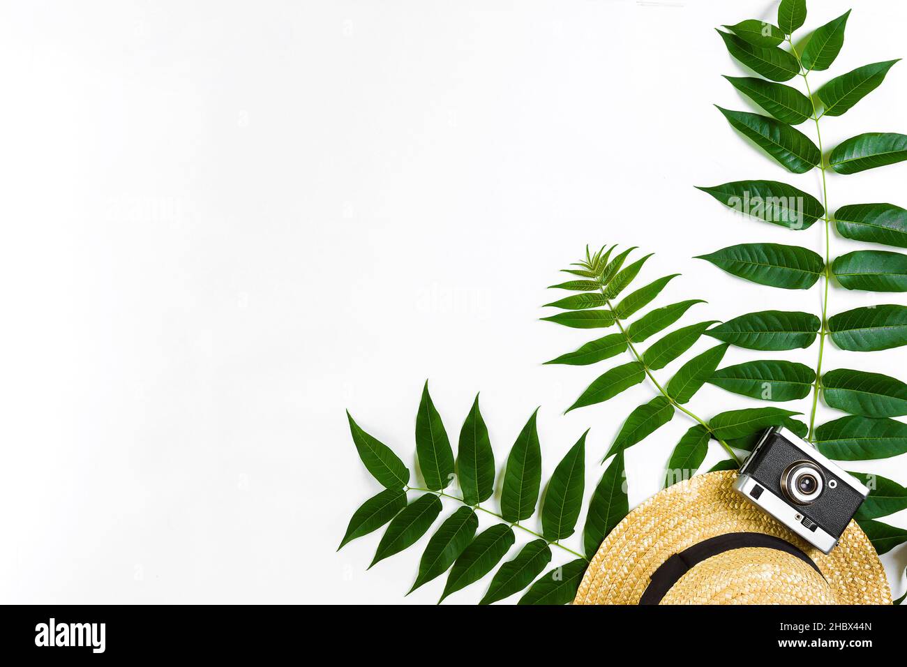 Straw hat with green leaves and old camera on white background, Summer ...