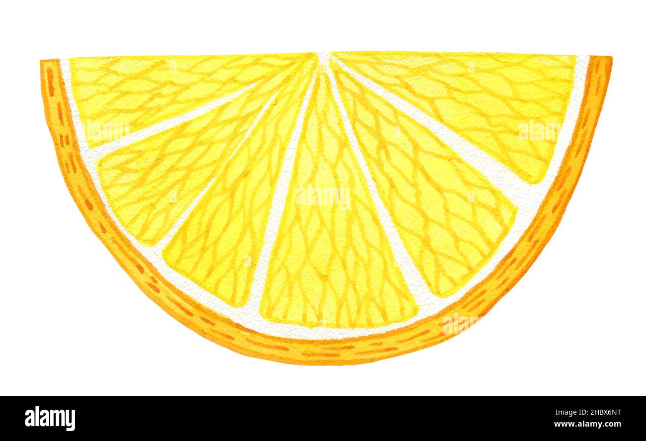 slice of lemon, watercolor illustration vegetarian foods Stock Photo