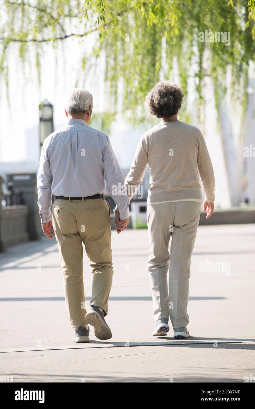 Rear view of elderly women walking in park hi-res stock photography and ...