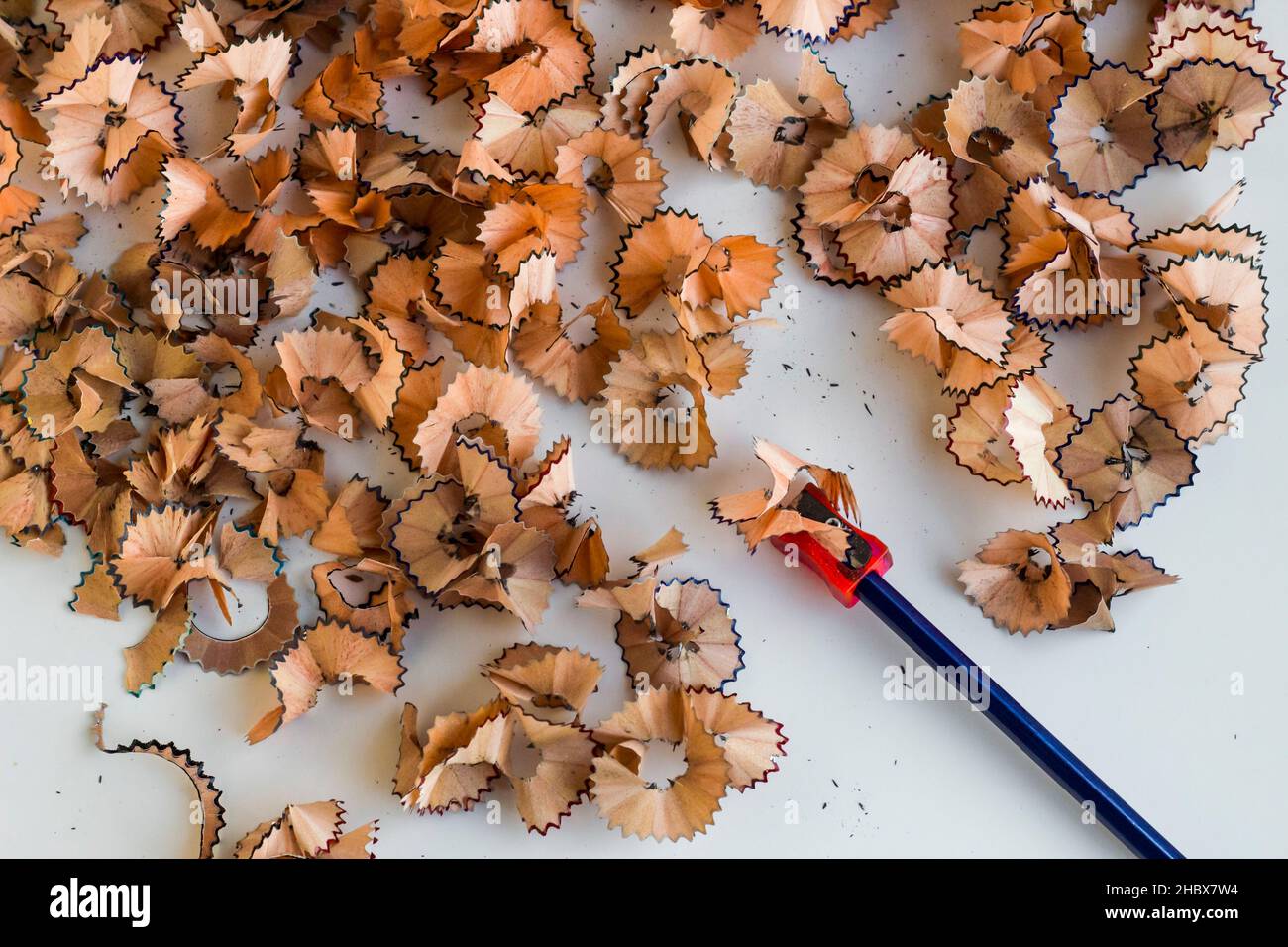 Toxic waste of lead pencils should be careful with kids and pets.Conceptual image of education. Stock Photo