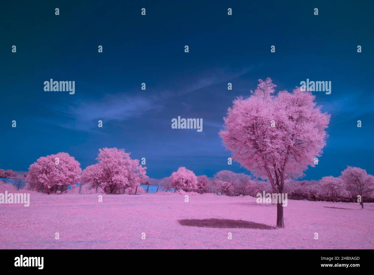 Surreal infrared landscape photo with a dramatic cloudy sky Stock Photo
