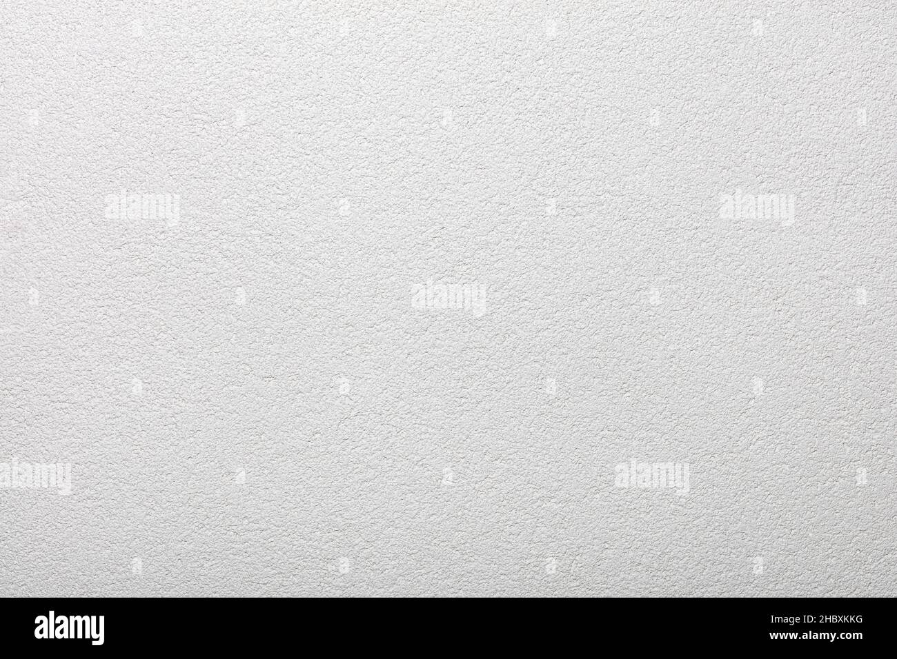 Light gray wall, plaster background with a uniform pronounced texture. Stock Photo